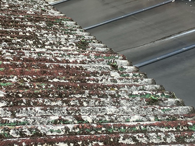 小波スレートの特徴